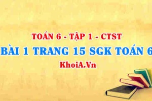 Bài 1 trang 15 SGK Toán 6 Tập 1 Chân trời sáng tạo